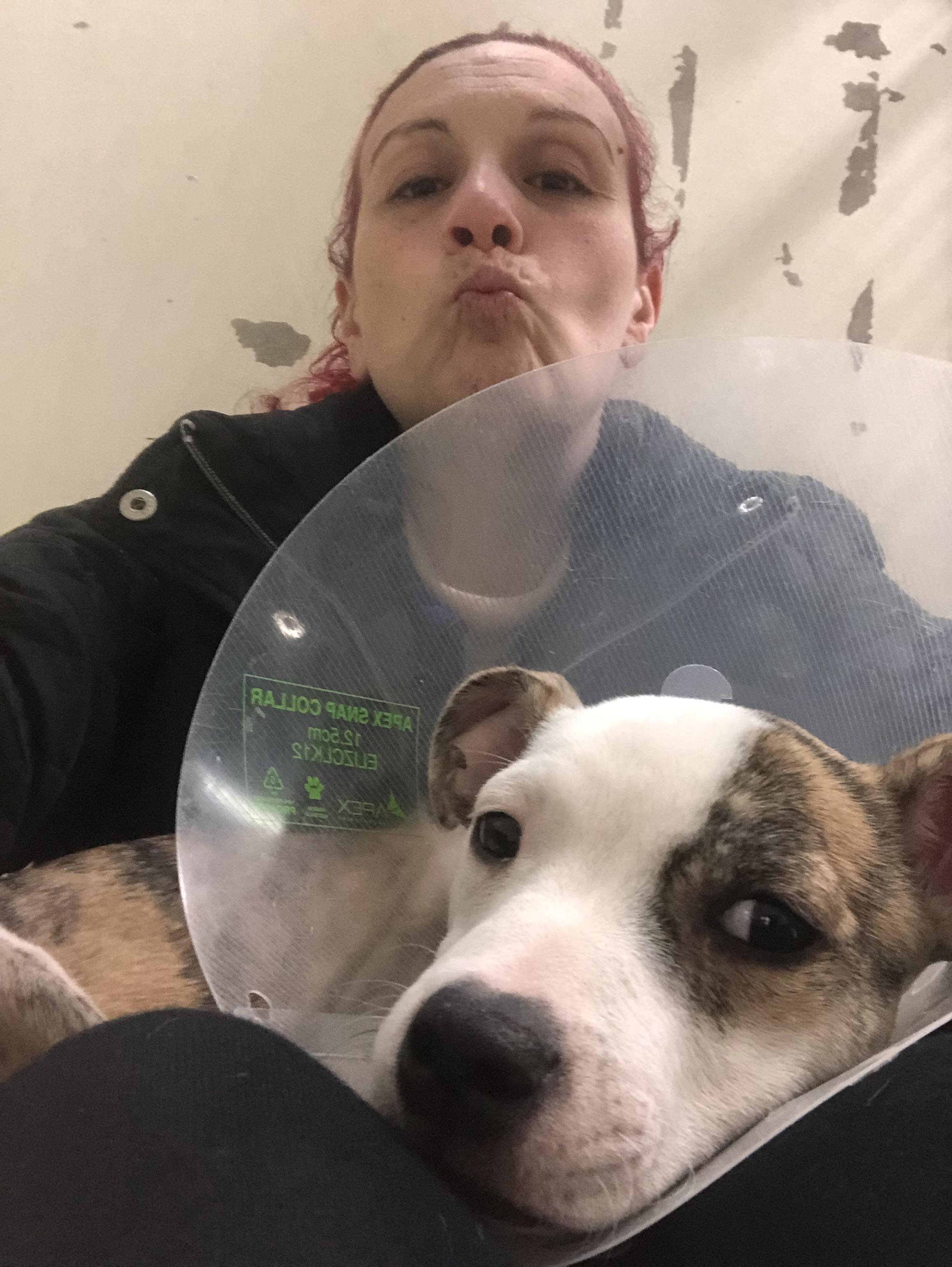 Pet Sitter near me, Pet Sitting in Gowanbrae, VIC PetCloud Joanne P