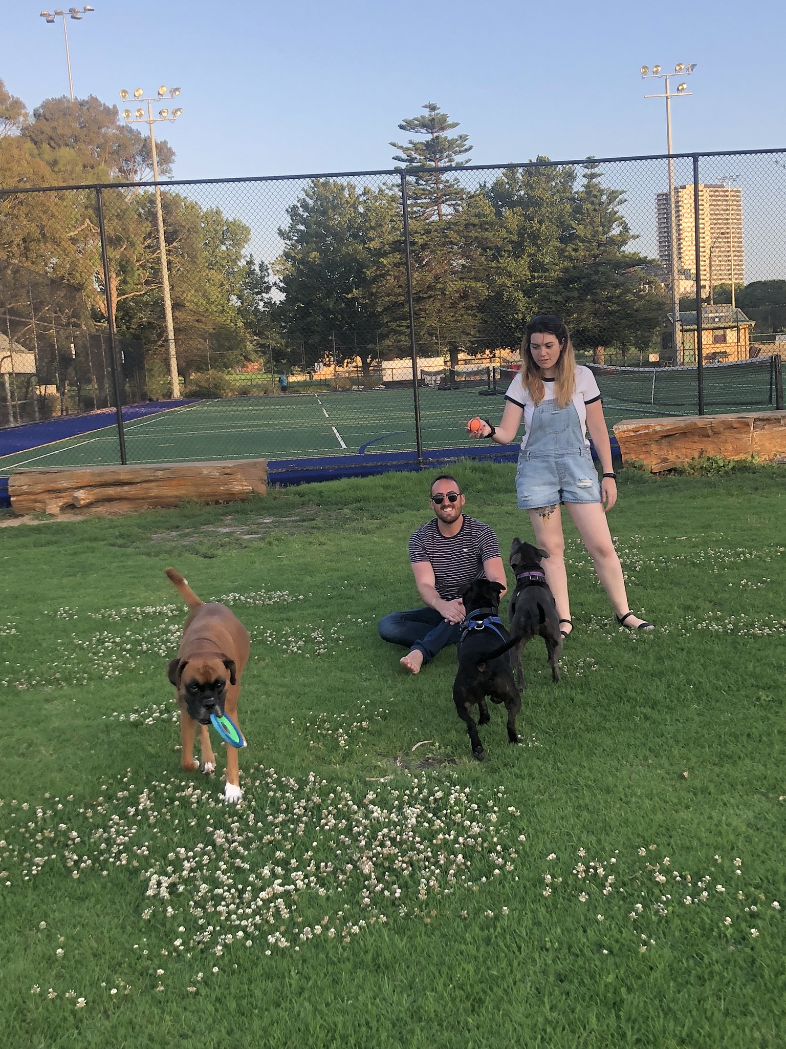 Pet Sitter near me, Pet Sitting in Melbourne VIC, VIC PetCloud