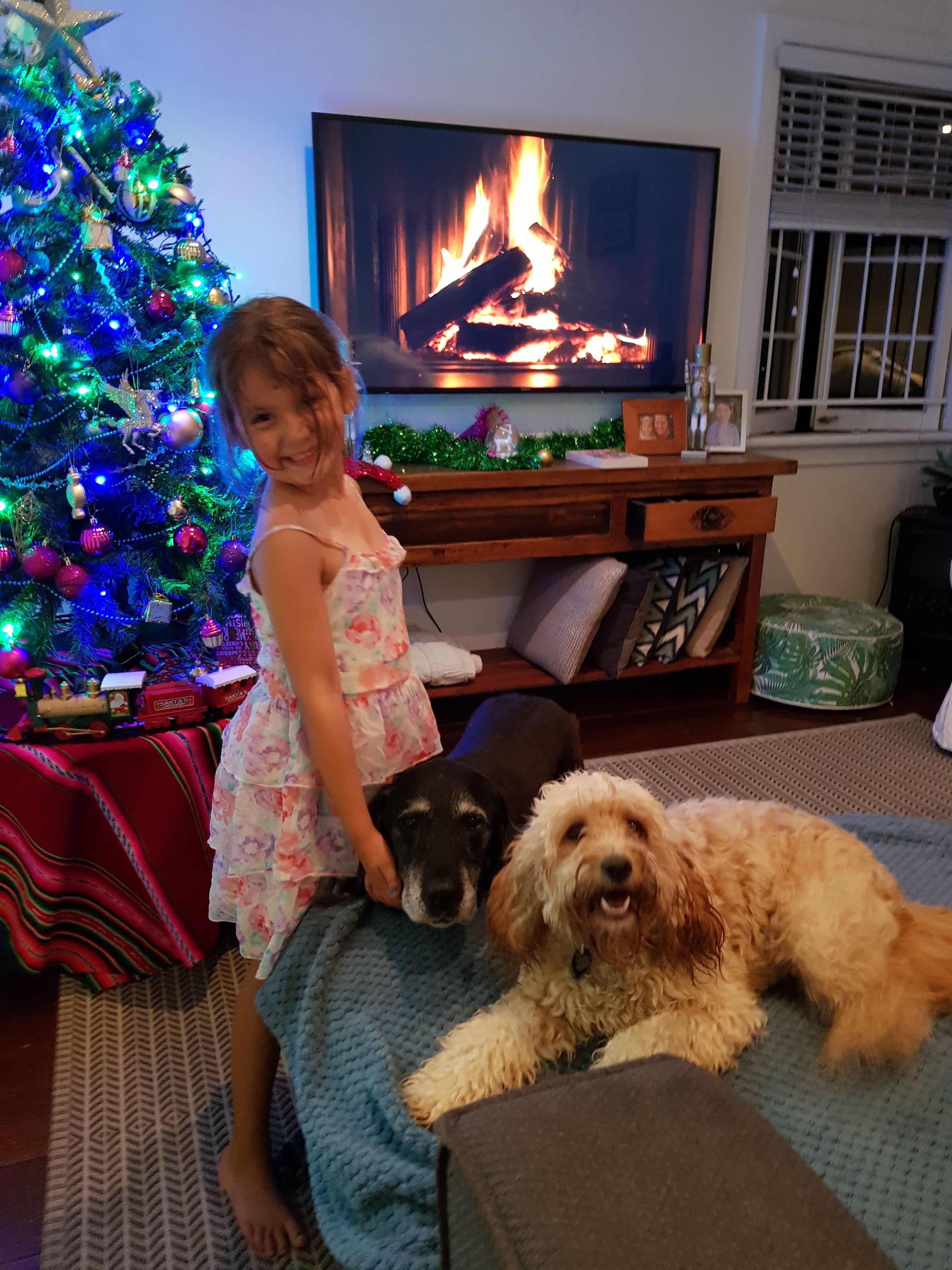 Pet Sitter near me, Pet Sitting in Herston, QLD PetCloud Vanessa S