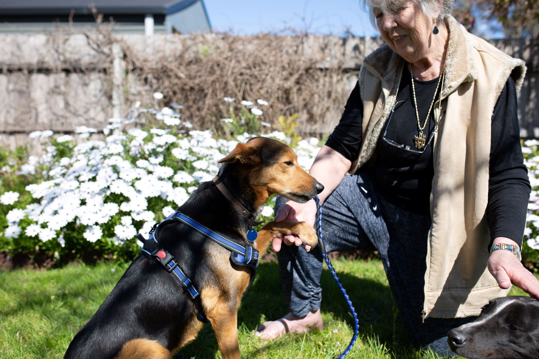 Pet Sitter near me, Pet Sitting in Traralgon, VIC PetCloud Hannah G