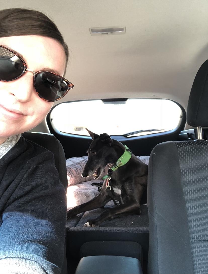 Pet Sitter near me, Pet Sitting in Ivanhoe, VIC PetCloud Robin T