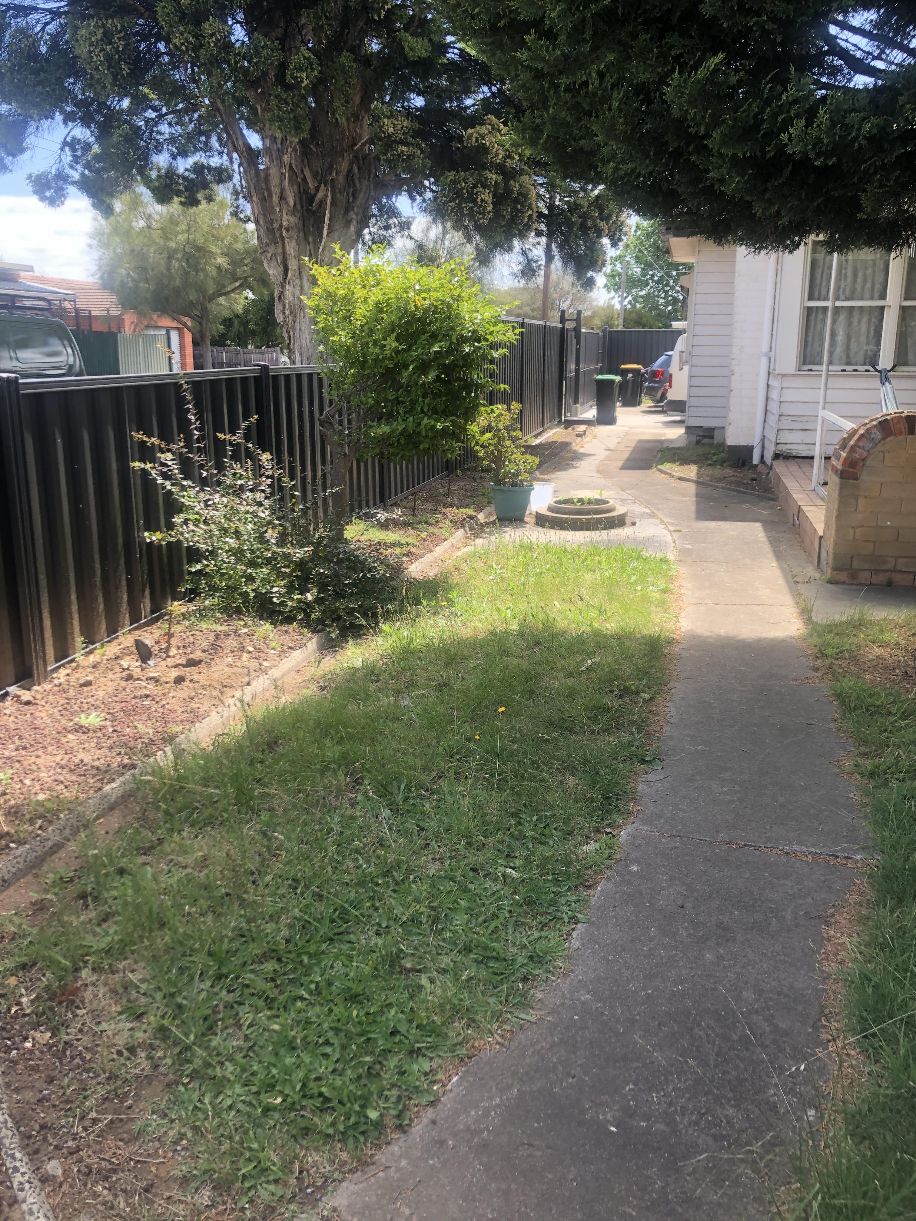 Pet Sitter near me, Pet Sitting in Carlton, VIC PetCloud Shantanu R