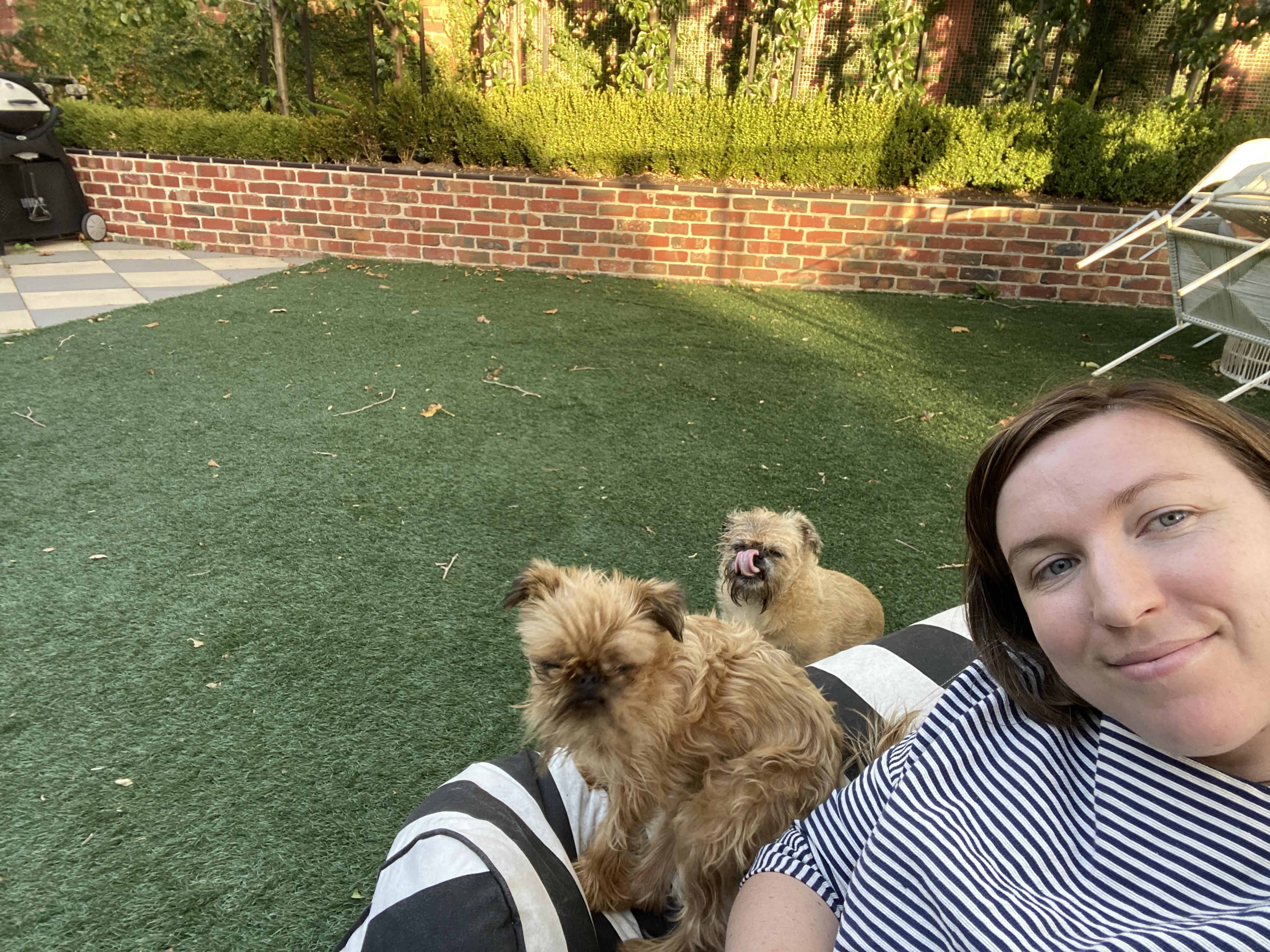 Pet Sitter near me, Pet Sitting in Ivanhoe, VIC PetCloud Robin T