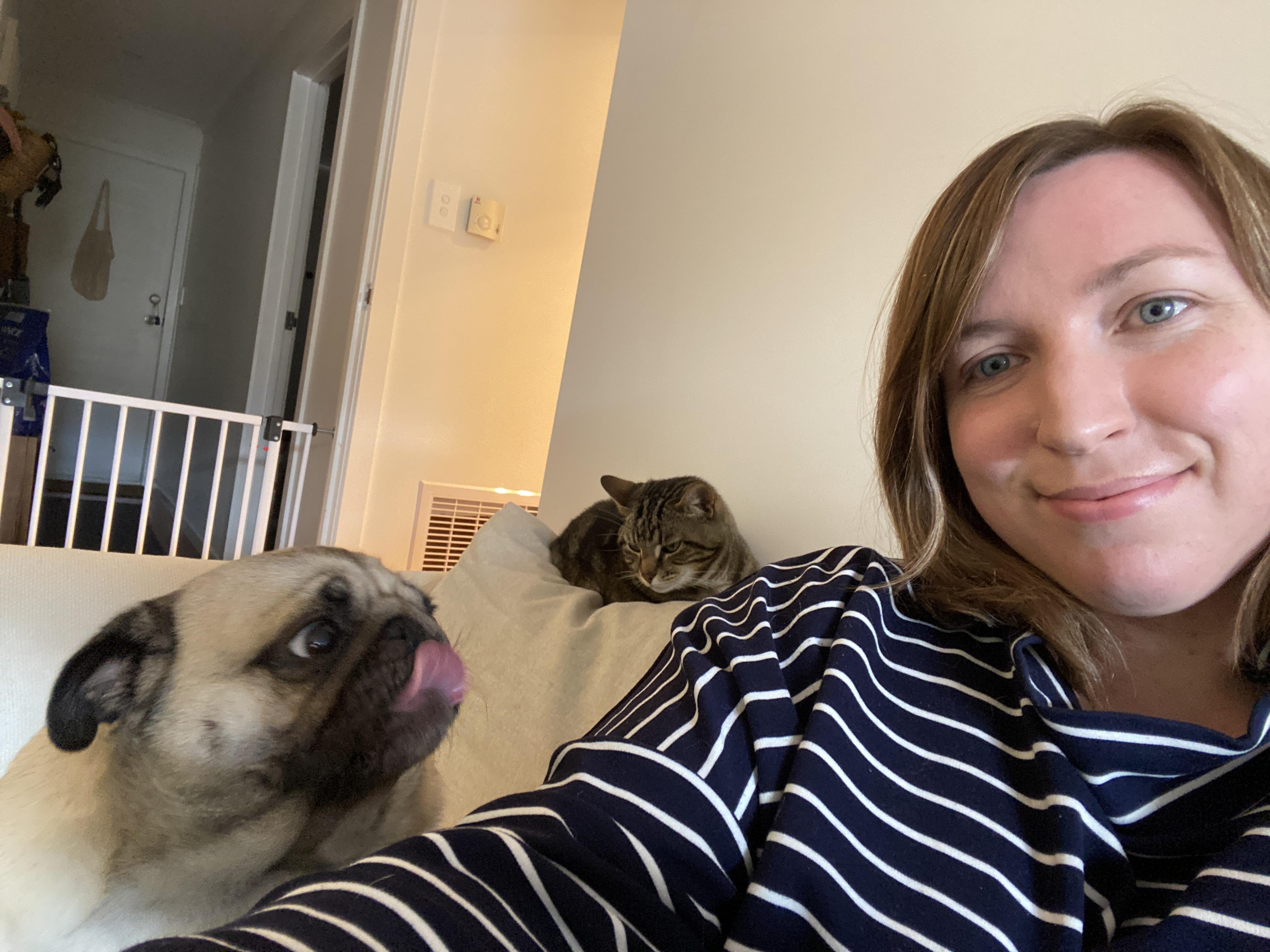 Pet Sitter near me, Pet Sitting in Ivanhoe, VIC PetCloud Robin T