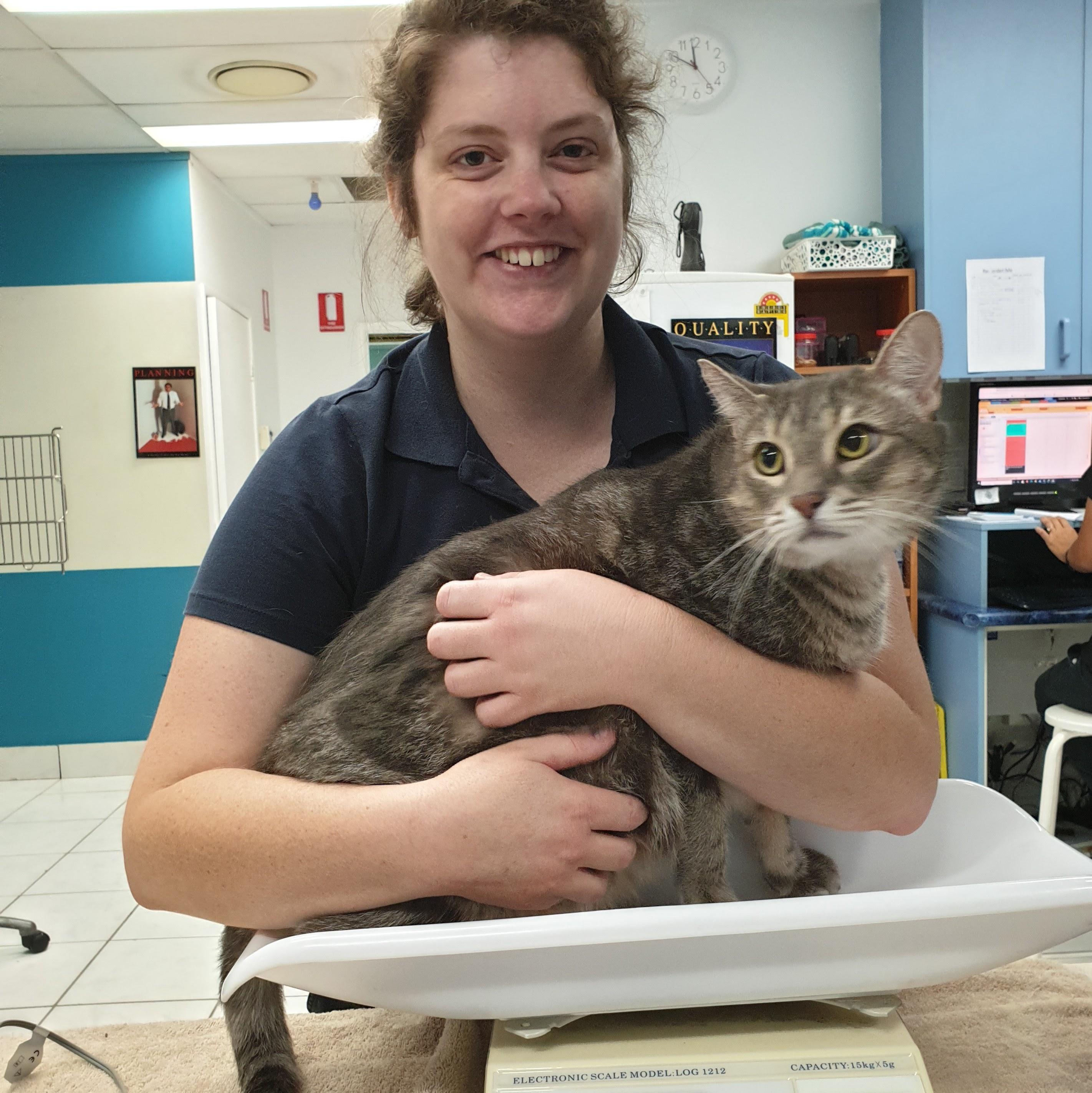 Pet Sitter near me, Pet Sitting in Yeerongpilly, QLD PetCloud Laura