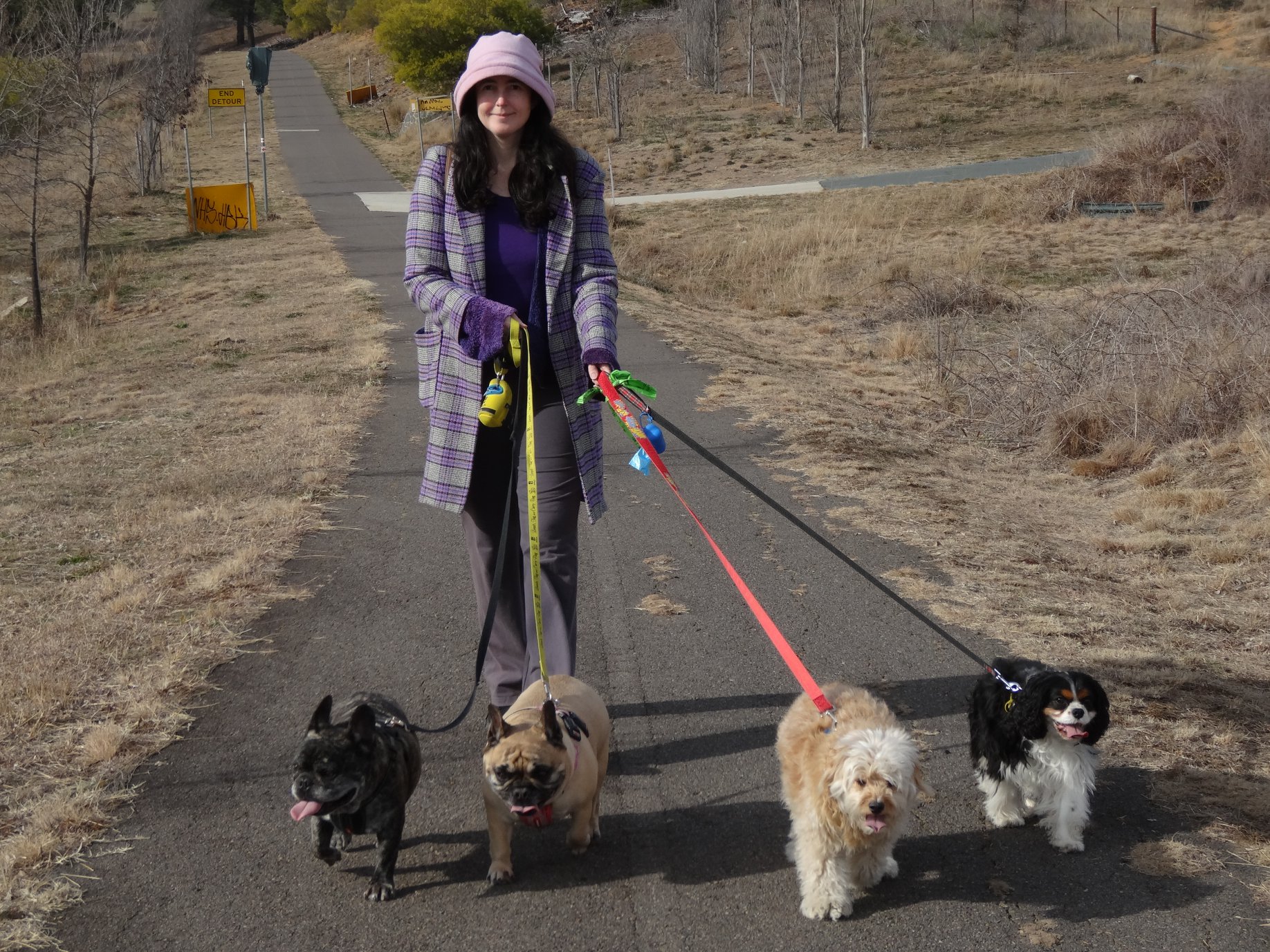 Pet Sitter near me, Pet Sitting in Weston, ACT PetCloud Robert B