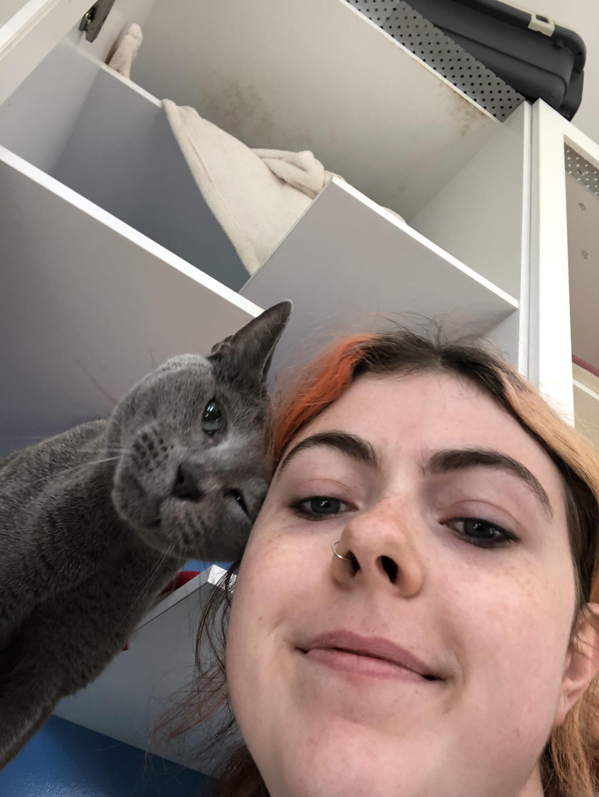 Pet Sitter near me, Pet Sitting in Brighton, VIC PetCloud Millie H