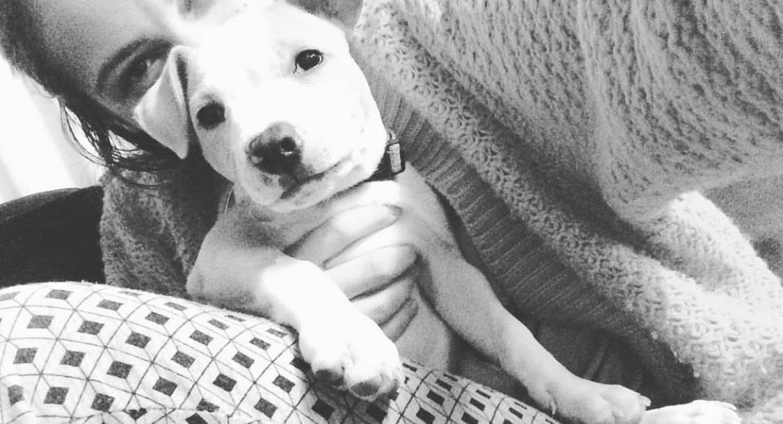 Pet Sitter near me, Pet Sitting in Sydenham, VIC PetCloud Melissa K