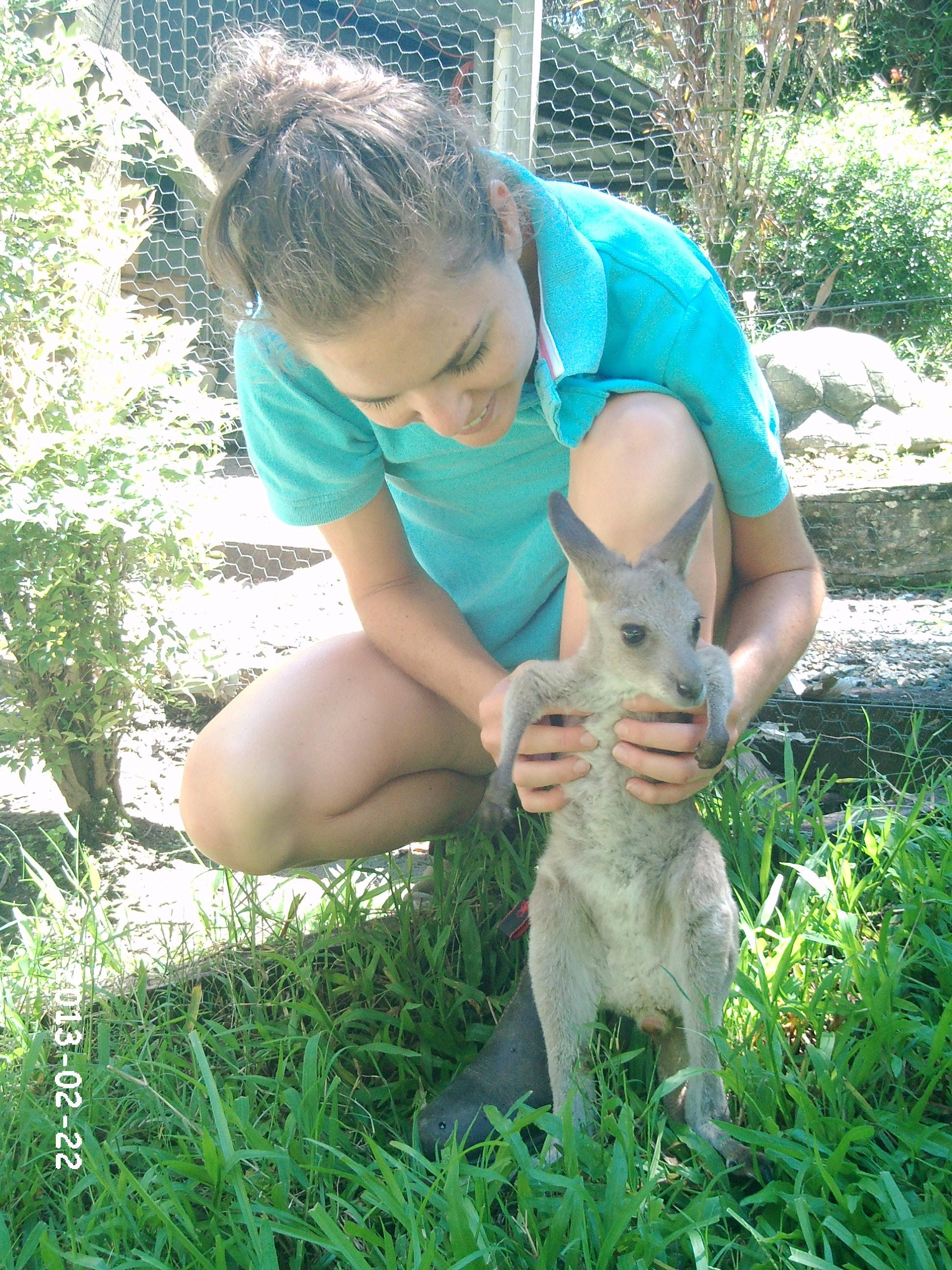 Pet Sitter near me, Pet Sitting in Ferny Hills, QLD PetCloud Summer