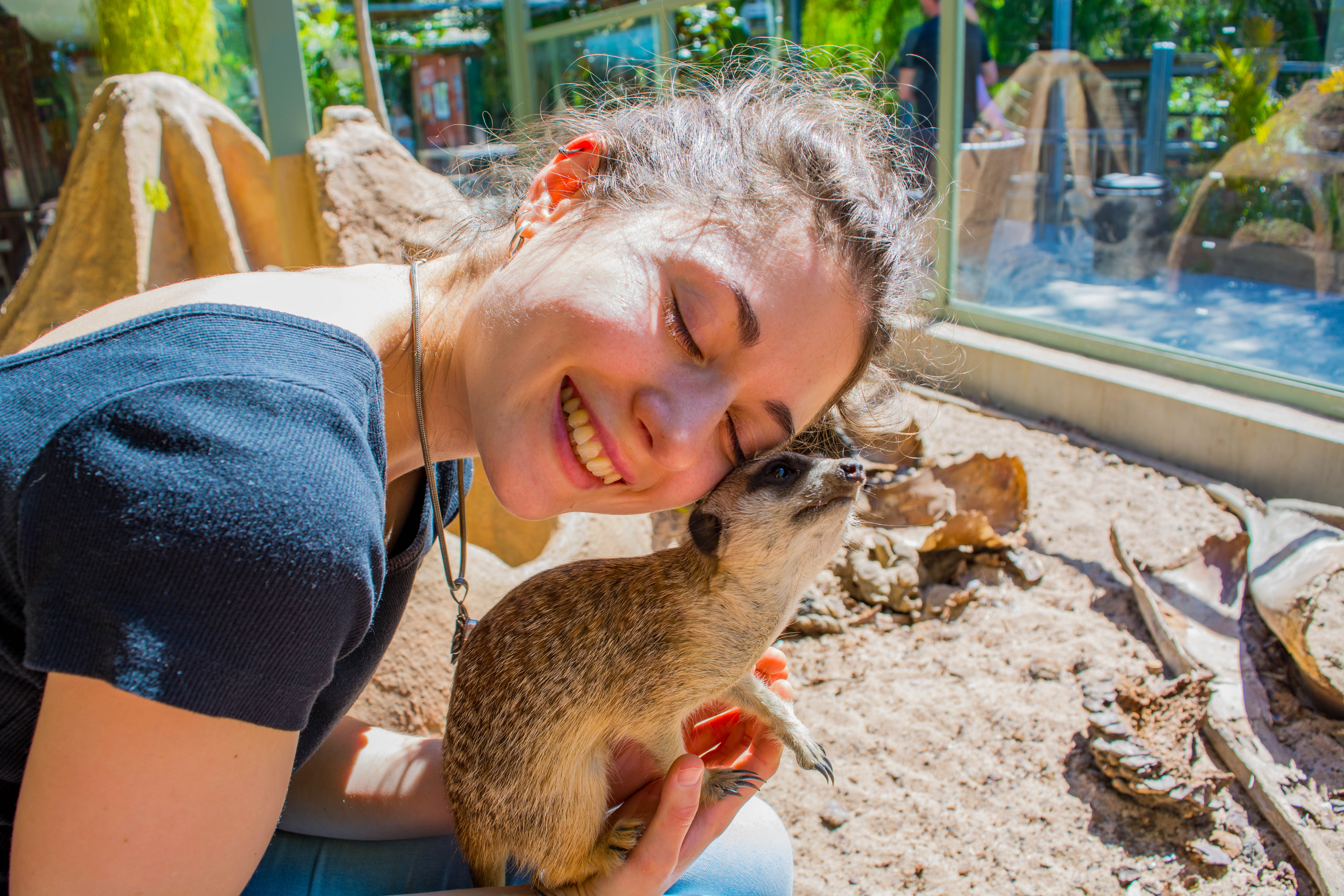 Pet Sitter near me, Pet Sitting in Castle Hill, NSW PetCloud