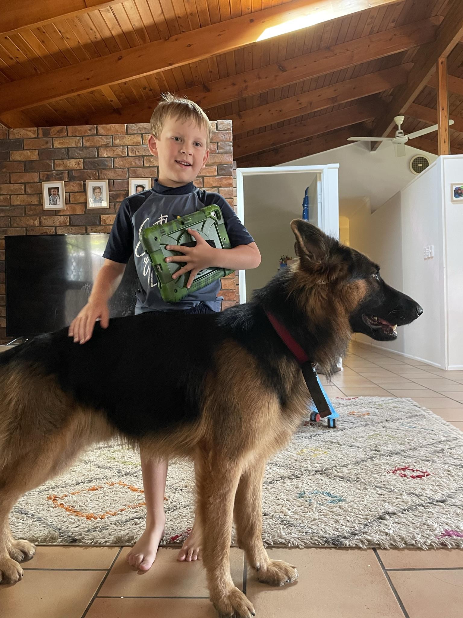 Pet Sitter near me, Pet Sitting in Belmont, QLD PetCloud Carlea D