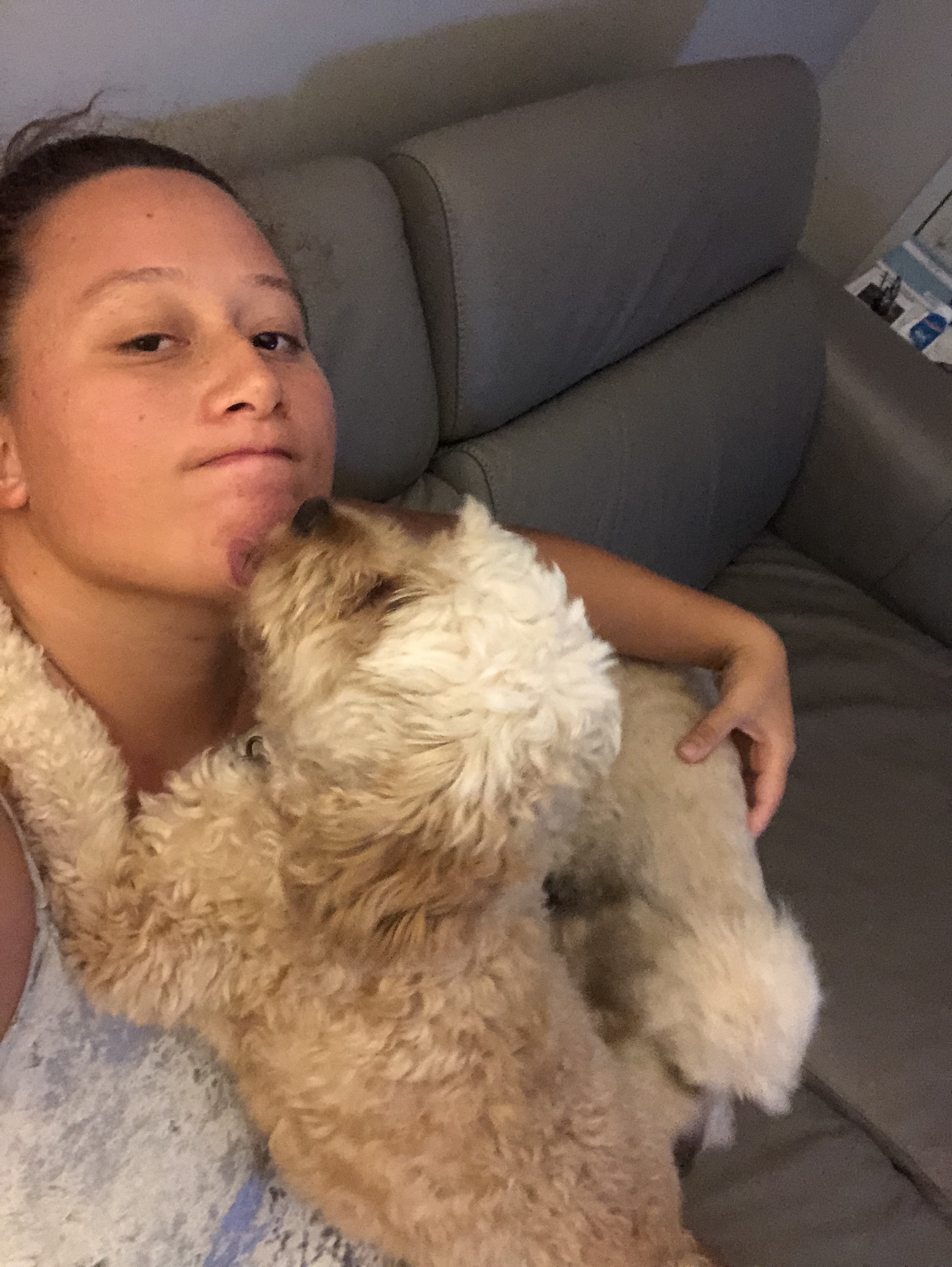 Pet Sitter near me, Pet Sitting in Adamstown, NSW PetCloud