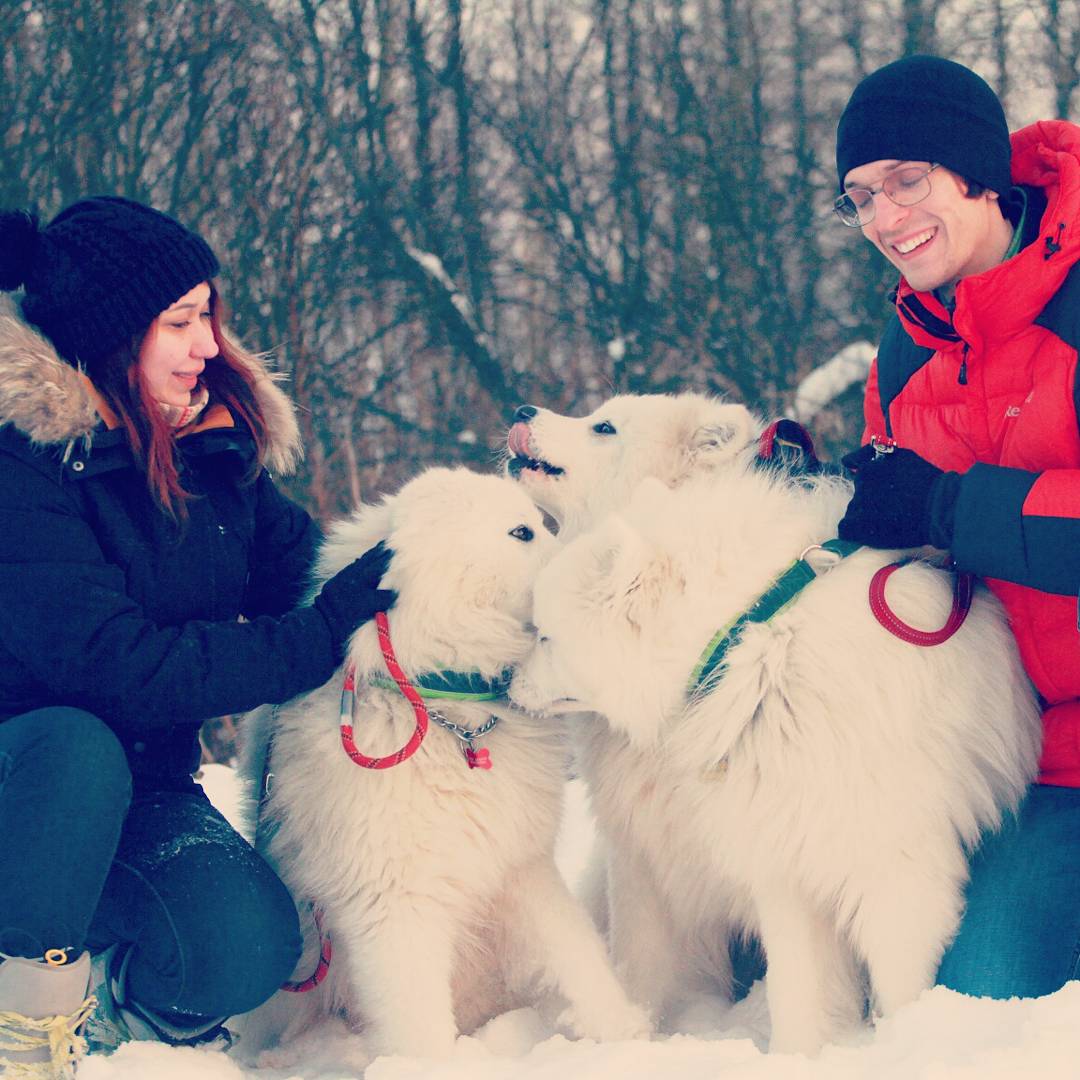 Pet Sitter near me, Pet Sitting in Epping, NSW PetCloud Diliara L