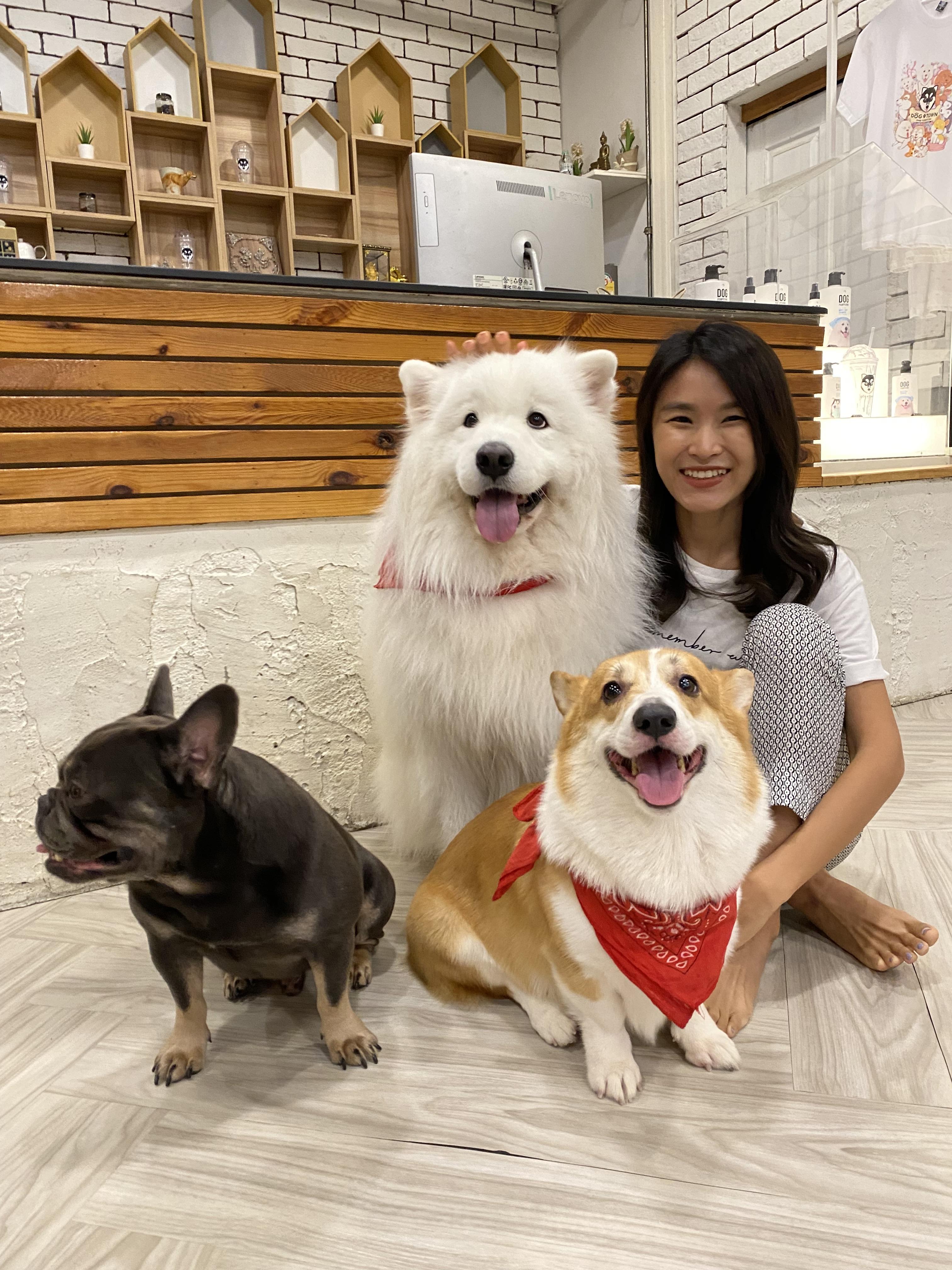 Pet Sitter near me, Pet Sitting in South Brisbane, QLD PetCloud