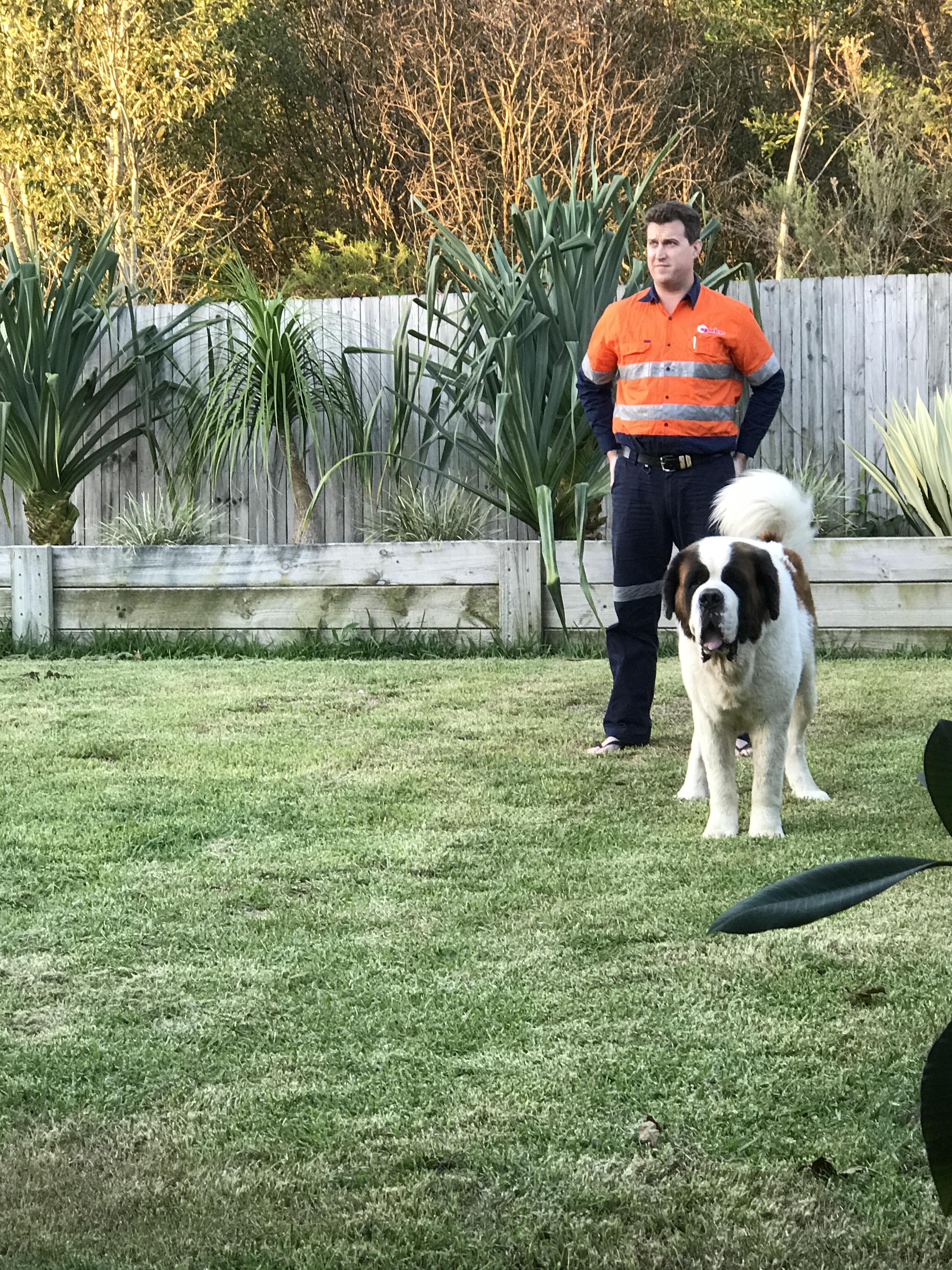 Pet Sitter near me, Pet Sitting in East Mackay, QLD PetCloud Madison j PetCloud