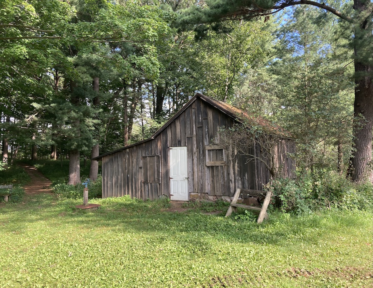 Sketch A Sand County Almanac by Aldo Leopold Sketches