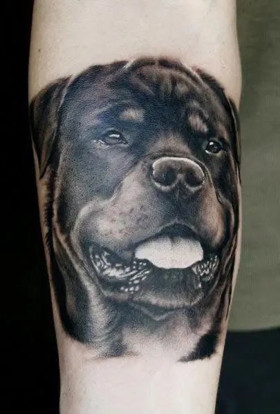 The 16 Cutest Rottweiler Tattoo Design Ideas - Petpress 600_x_405_webp