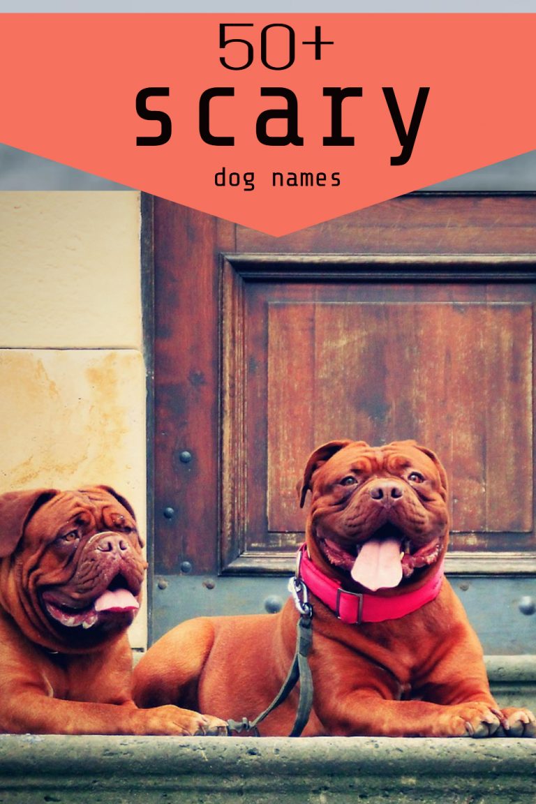 50+ Scary Dog Names PetPress