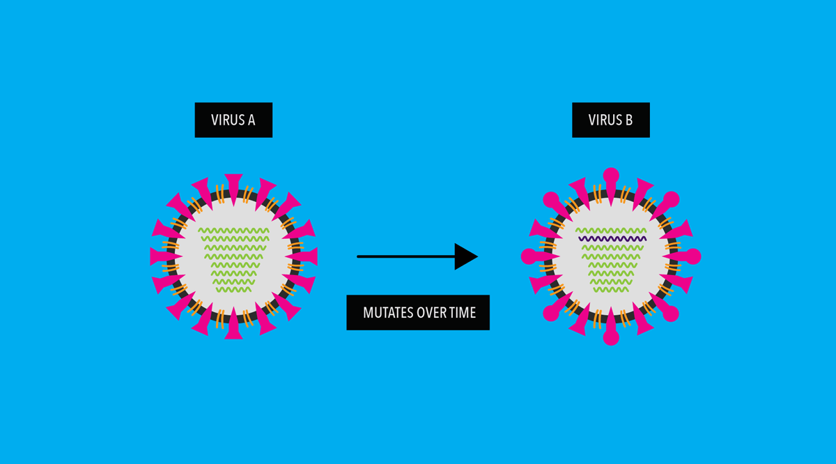 How Do Viruses Mutate and What it Means for a Vaccine? Pfizer