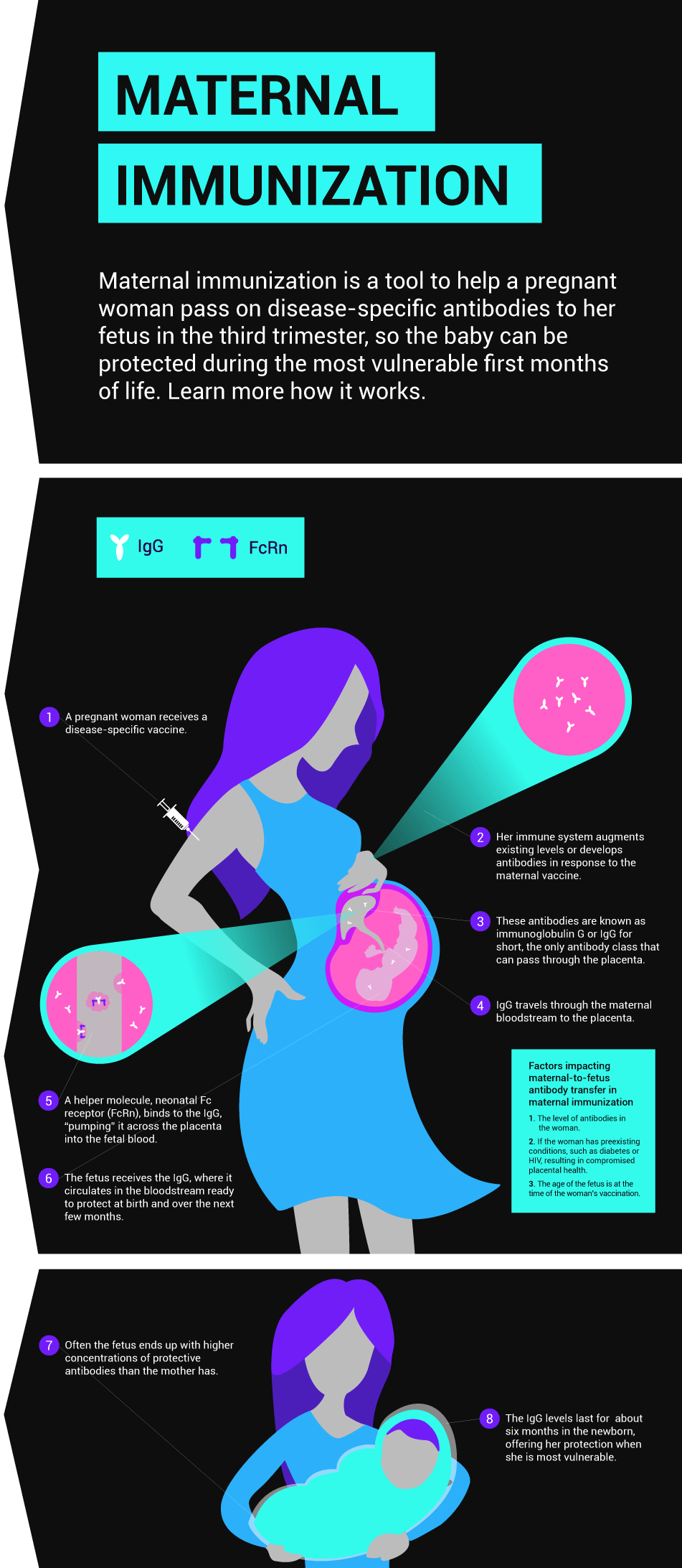 How Maternal Immunization Helps Protect Babies From Infections Pfizer