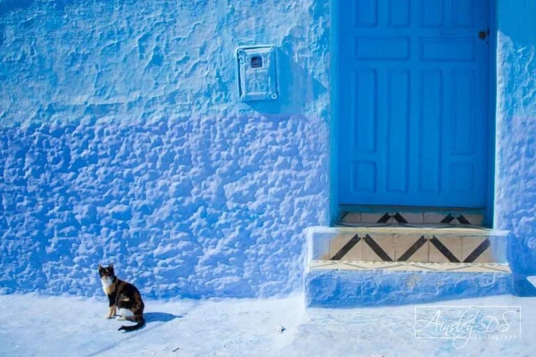 Balance and Visual Weight in Photography PhotographyCourse