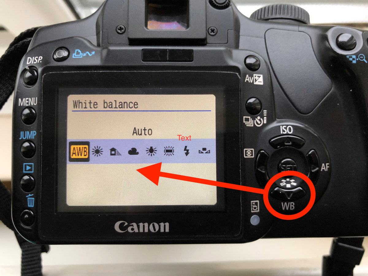 White Balance Explained How To Get Accurate Colors In Your Photos