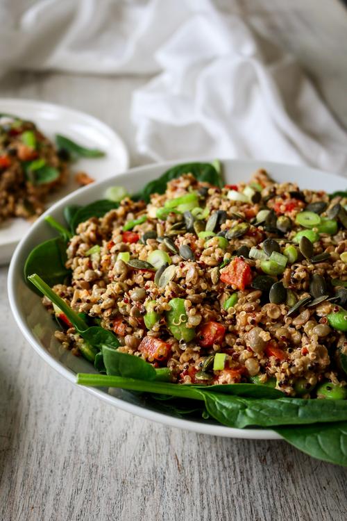 Pick Up Limes ProteinPacked Lentil & Quinoa Salad