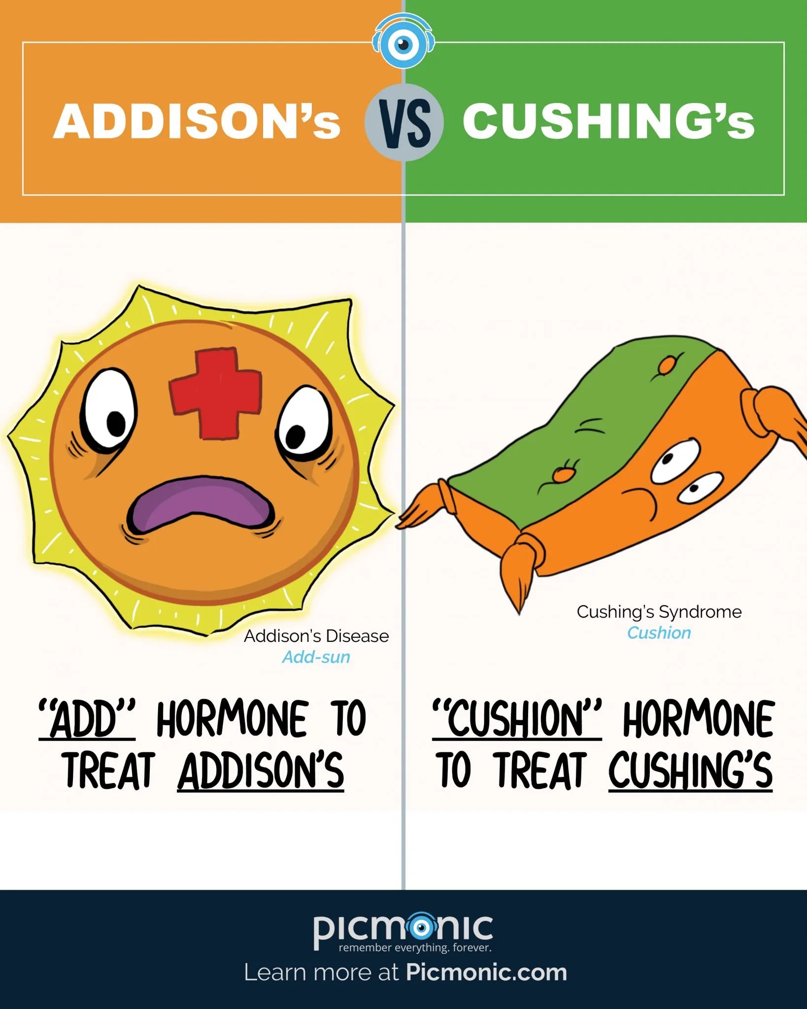 [Infographic] How to Study Addisons vs Cushings Picmonic