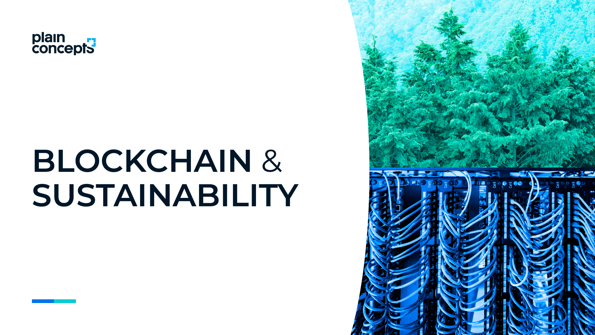 Blockchain to Trace CO2 Emissions and Neutralize Carbon Footprint