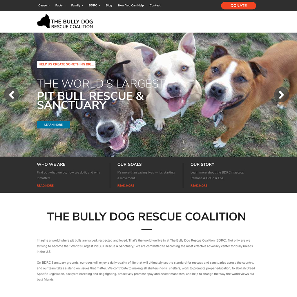 Polymath X Portfolio The Bully Dog Rescue Coalition
