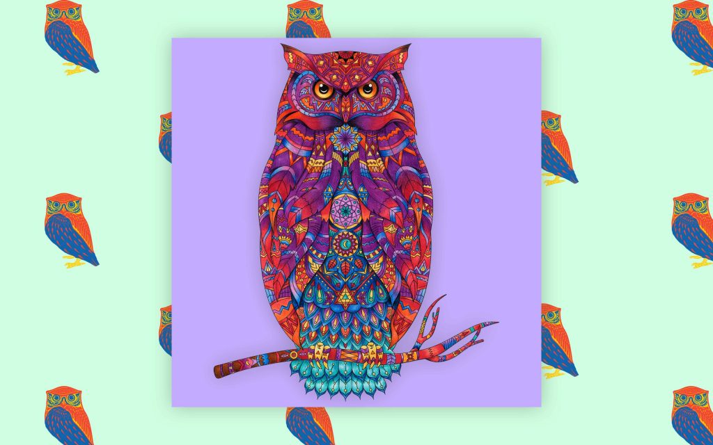 120 Beautiful Owl Names with Meanings
