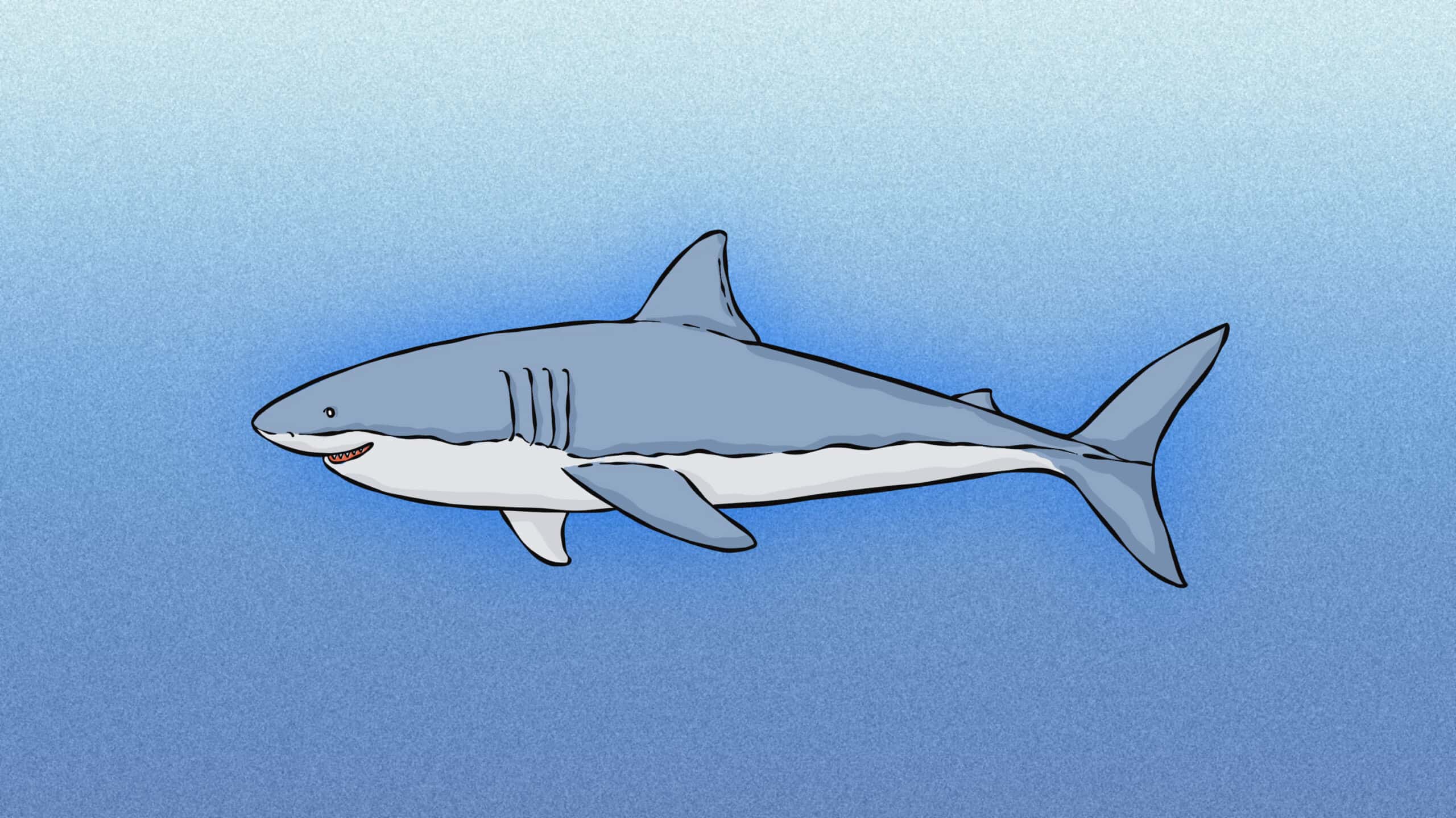 50 Best Swimsational Shark Puns