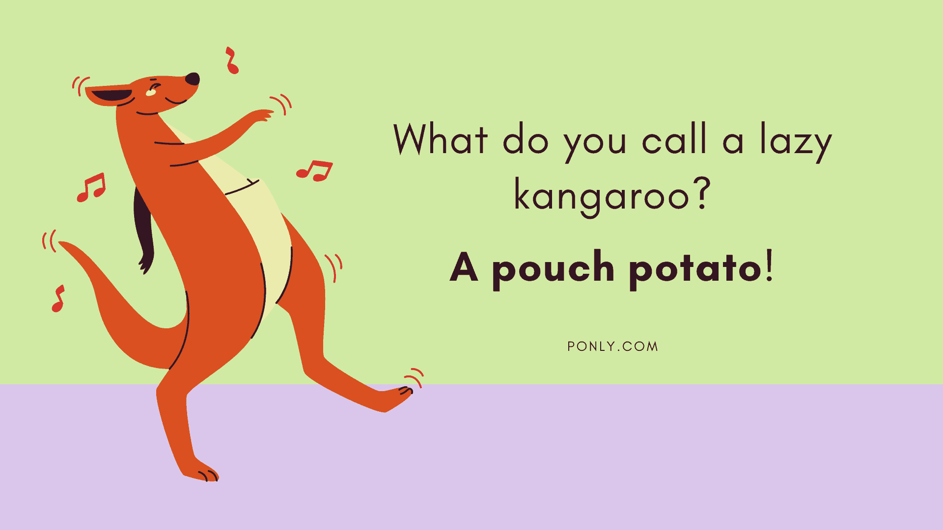 Top 102 + Funny pictures humor