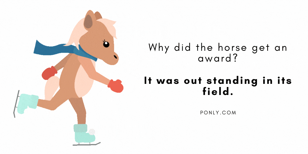 The 40 Best Horse Puns 2024