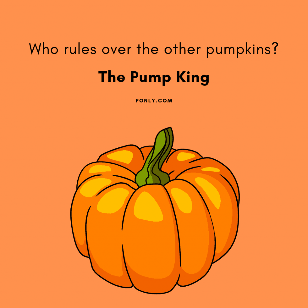 The 100 Very Best Pumpkin Puns And Pumpkin Jokes 2024