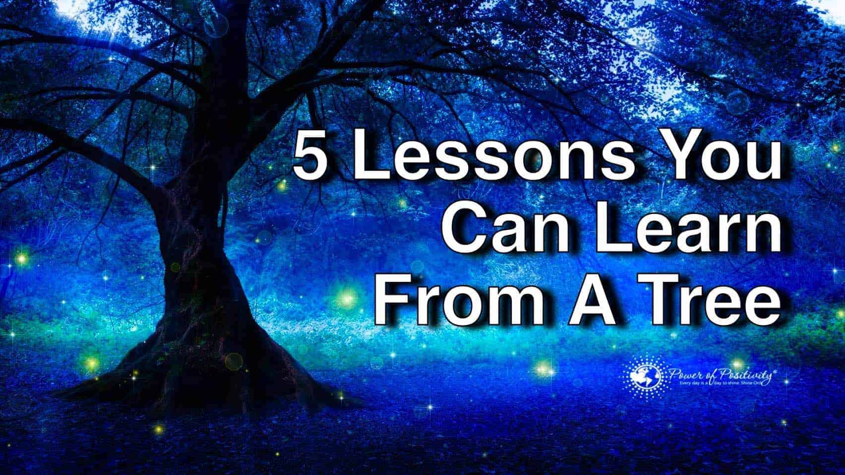 5 Lessons You Can Learn From A Tree(03)
