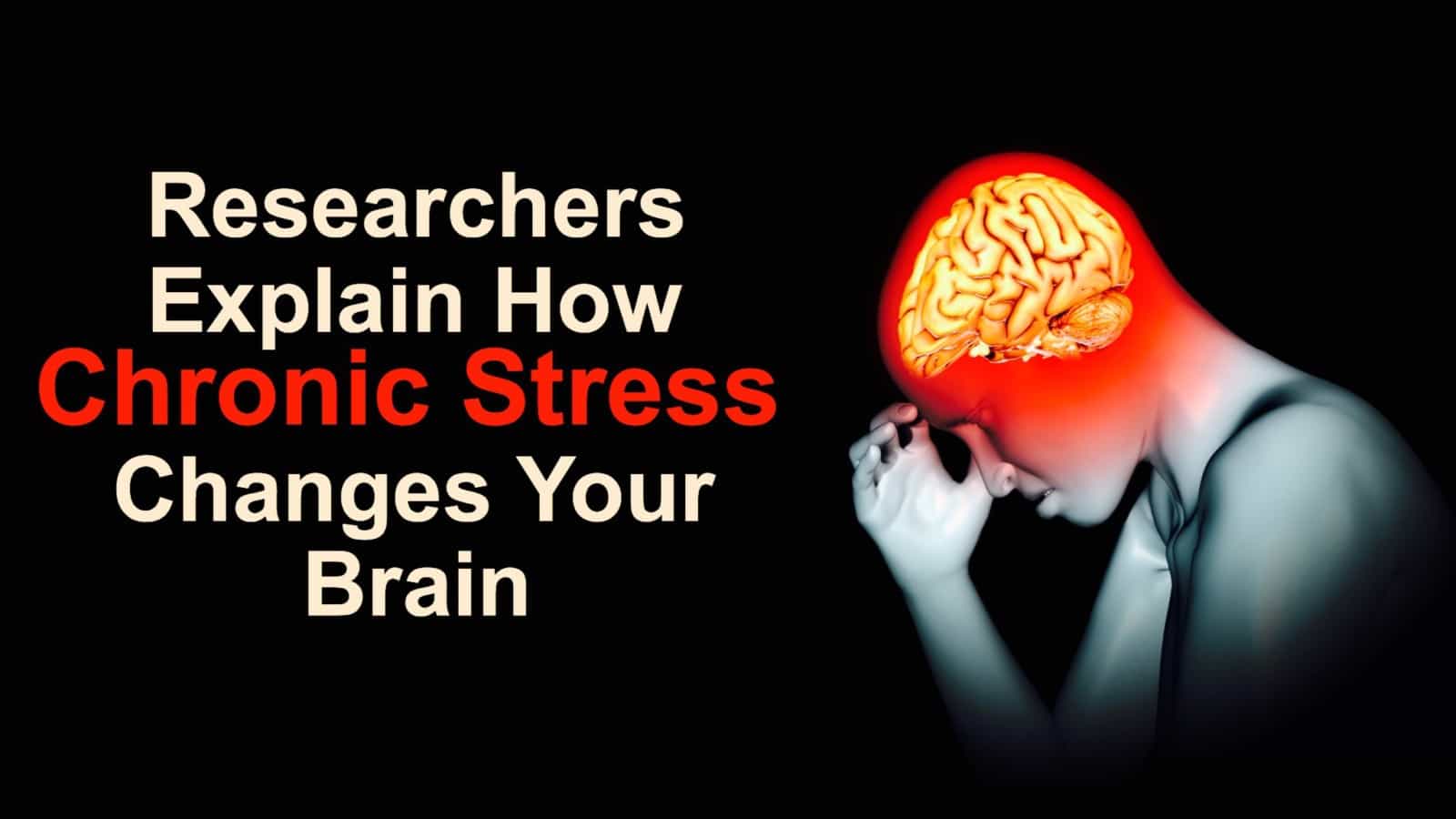 Researchers Explain How Chronic Stress Changes Your Brain Researchers Explain How Chronic Stress Changes Your Brain