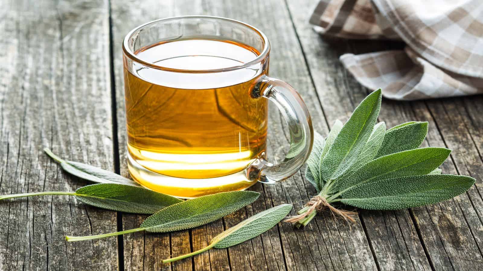 Here's What Happens to Your Body When You Drink Sage Tea Every Day