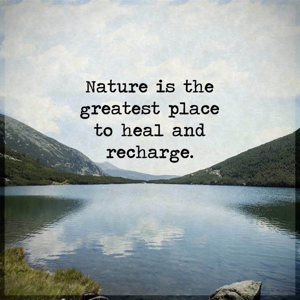 Nature Quotes