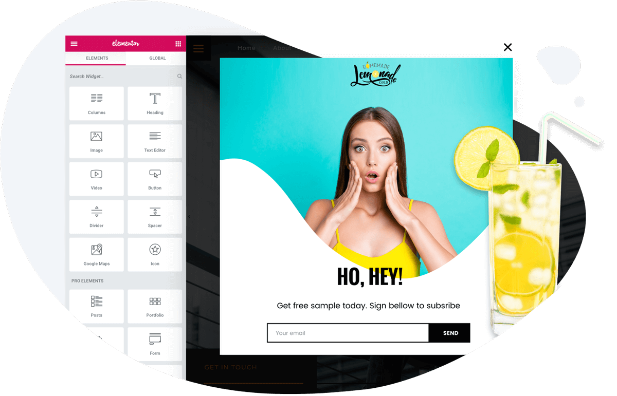 Elementor Popup Builder [Review] Top Features & What's Missing.