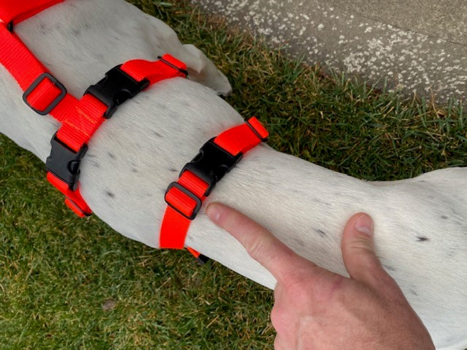 Mendota Skid Plate Chest Protector. 47.99.