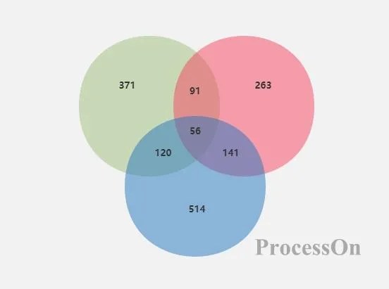 Unveiling Venn diagram drawing skills, skillfully use ProcessOn to draw