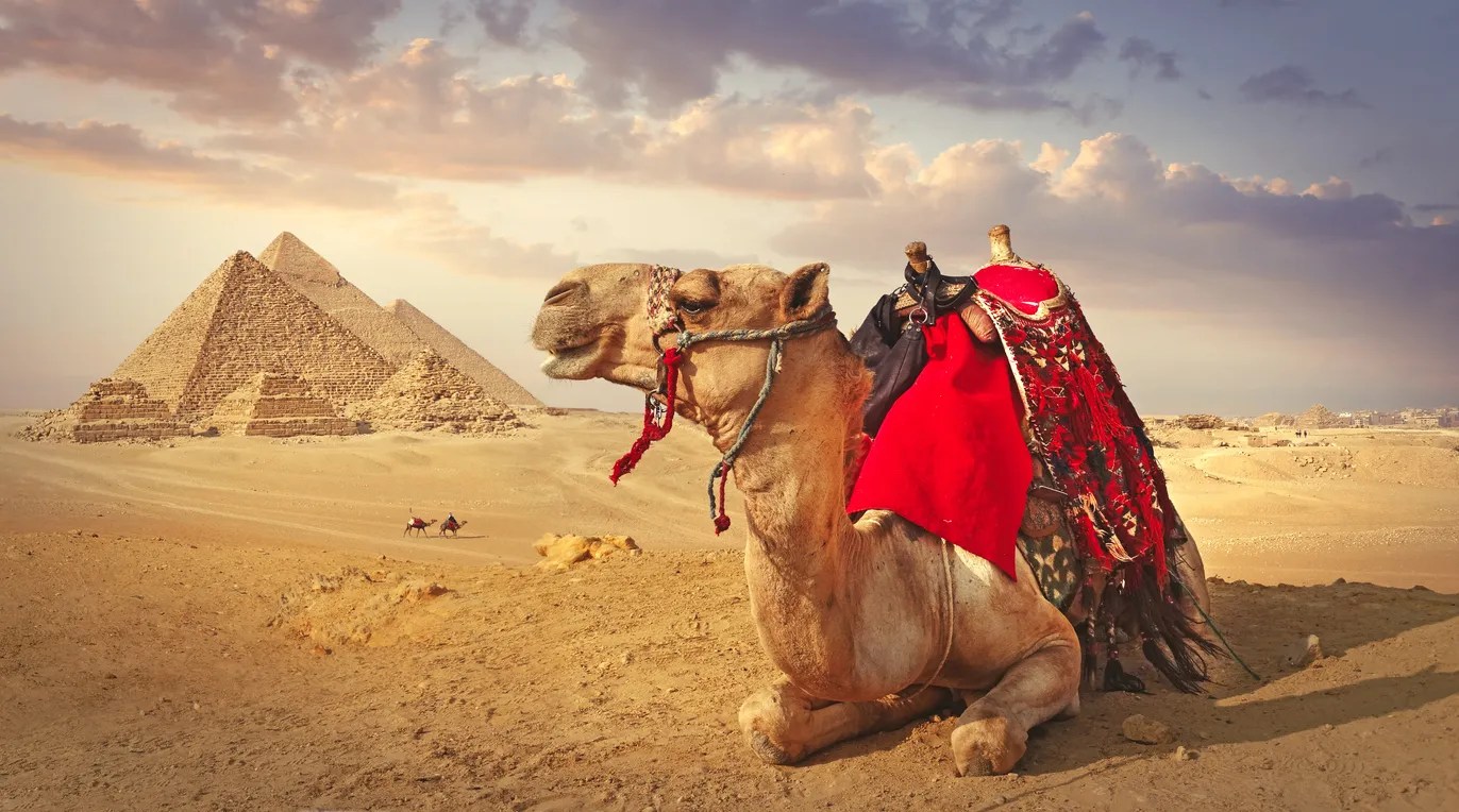List of Best Recruitment Agencies in Egypt