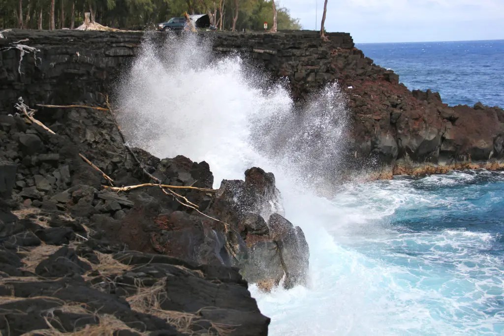 MacKenzie State Recreation Area - Hawai’i | Hawai’i State Parks