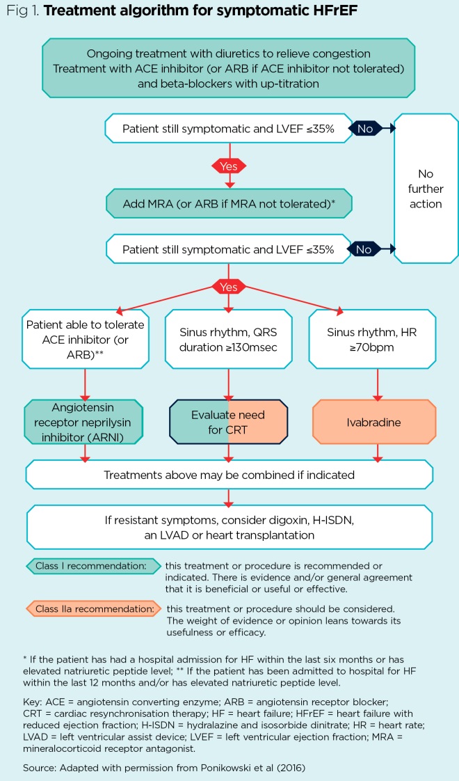 Heart failure 2 treatment options and longterm management Nursing Times
