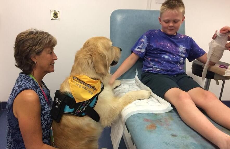 Are Assistance Dogs Allowed In Hospitals