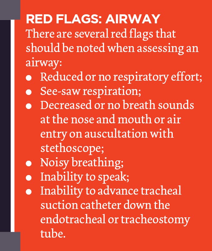 Essential critical care skills 2 assessing the patient (2024)