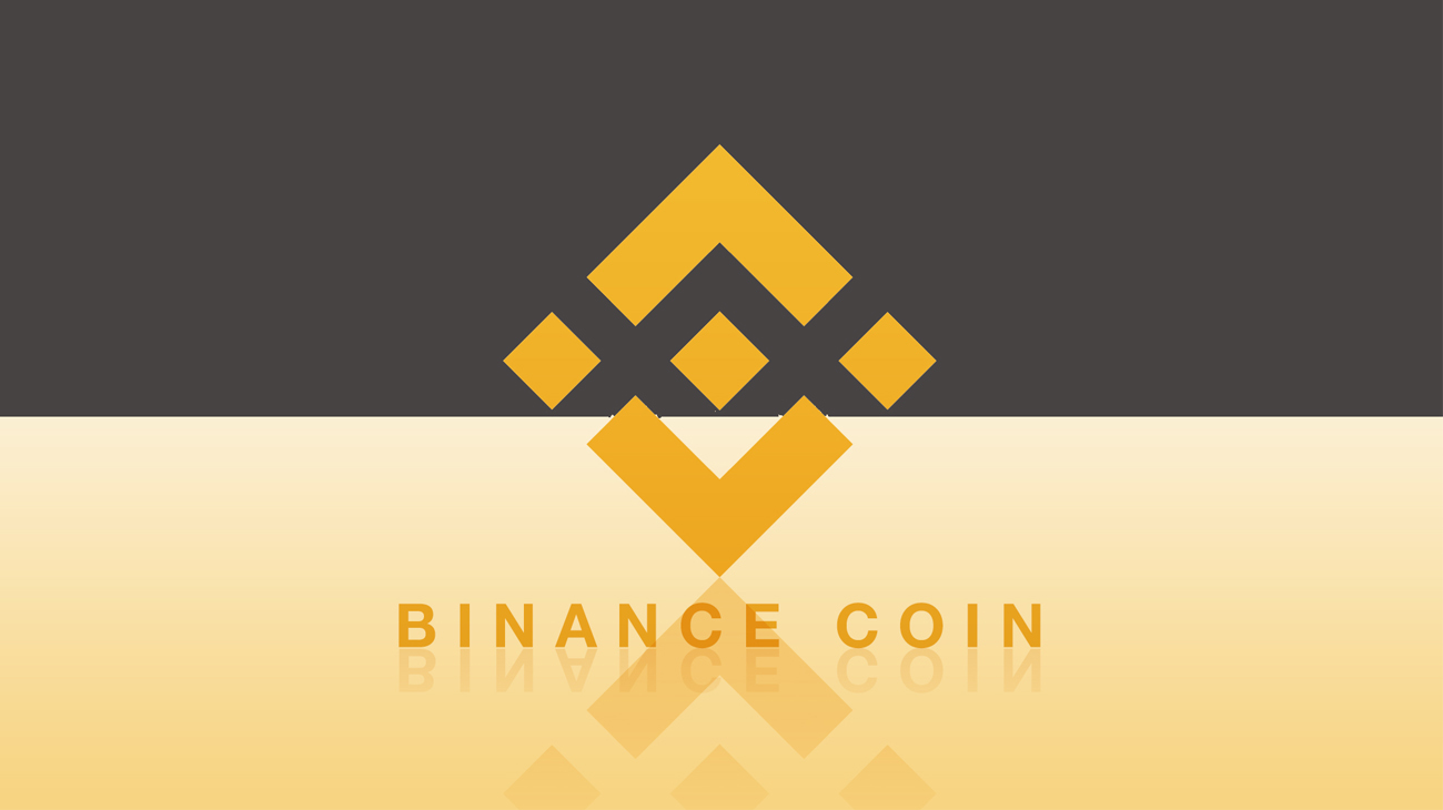 Binance Coin (BNB) Review