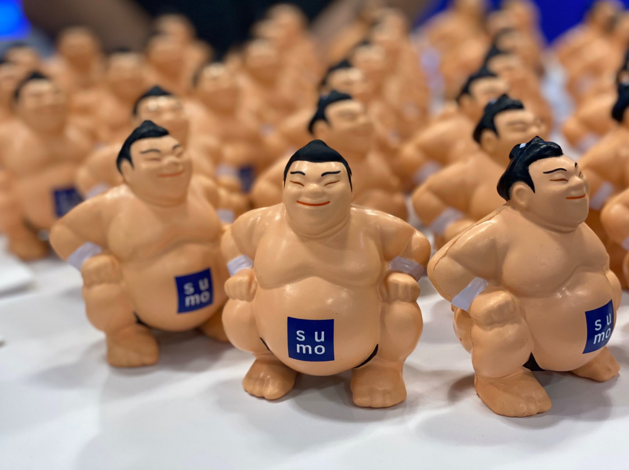 Sumo Logic Stock Price 34 Target By BTIG