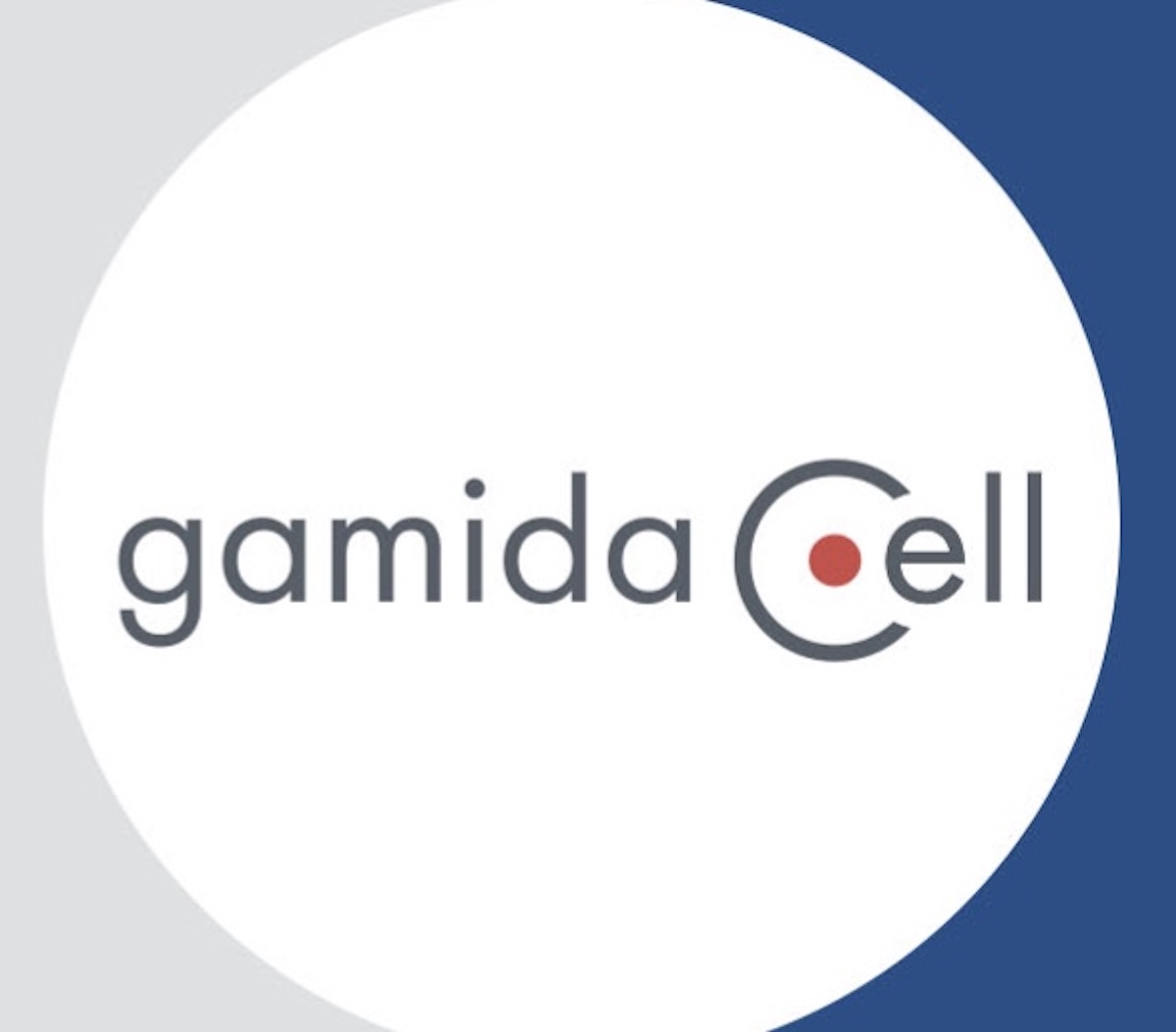 fall act dates 2023 Gamida Cell (GMDA) Stock Fell Over 20 Details